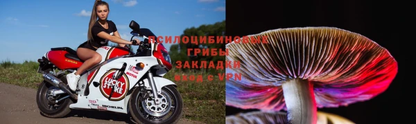 гашиш Магас
